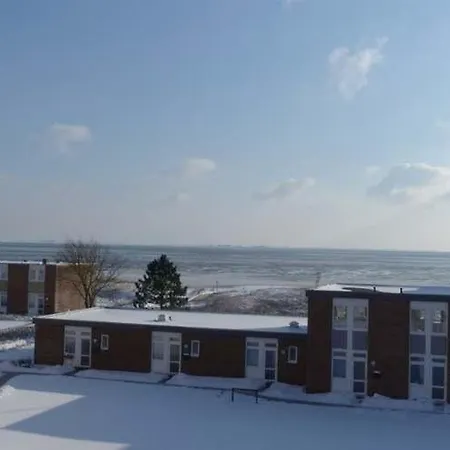 Null Oland Whg 12 Lachmöwe Wyk auf Föhr